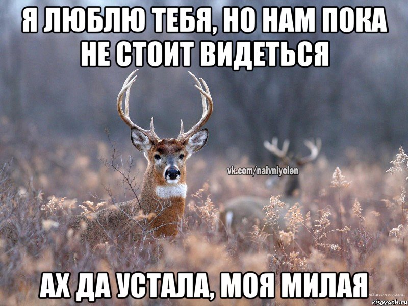 я люблю тебя, но нам пока не стоит видеться ах да устала, моя милая