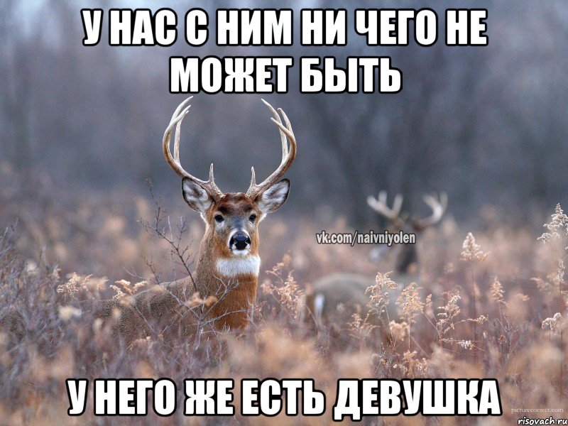 у нас с ним ни чего не может быть у него же есть девушка, Мем   Наивный олень