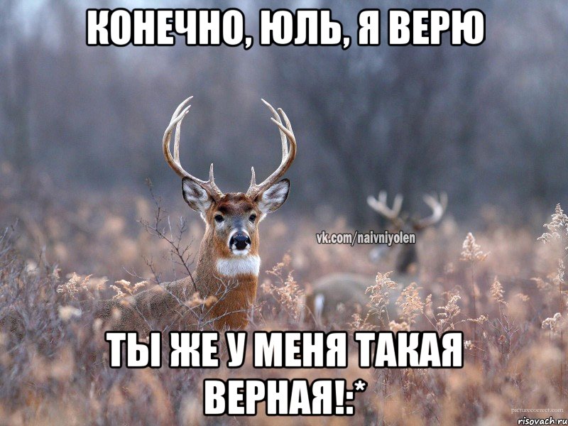 Конечно, Юль, я верю ты же у меня такая верная!:*, Мем   Наивный олень