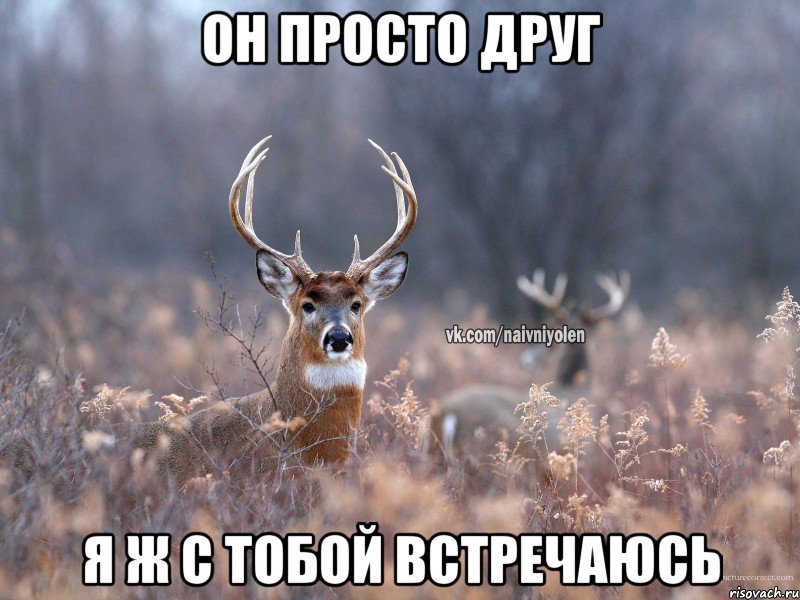 он просто друг я ж с тобой встречаюсь