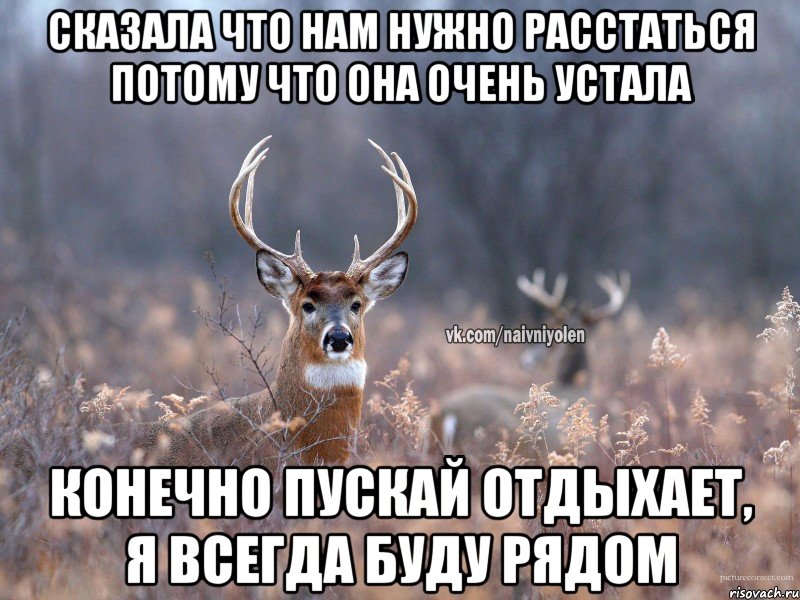 Сказала что нам нужно расстаться потому что она очень устала Конечно пускай отдыхает, я всегда буду рядом