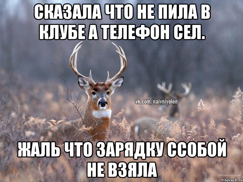 Сказала что не пила в клубе а телефон сел. Жаль что зарядку ссобой не взяла