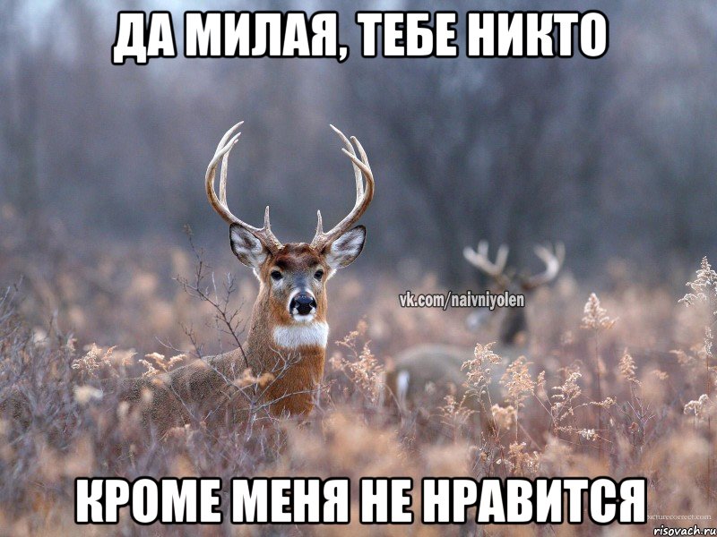 Да милая, тебе никто кроме меня не нравится