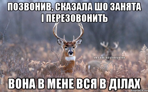 ПОЗВОНИВ, СКАЗАЛА ШО ЗАНЯТА І ПЕРЕЗОВОНИТЬ ВОНА В МЕНЕ ВСЯ В ДІЛАХ