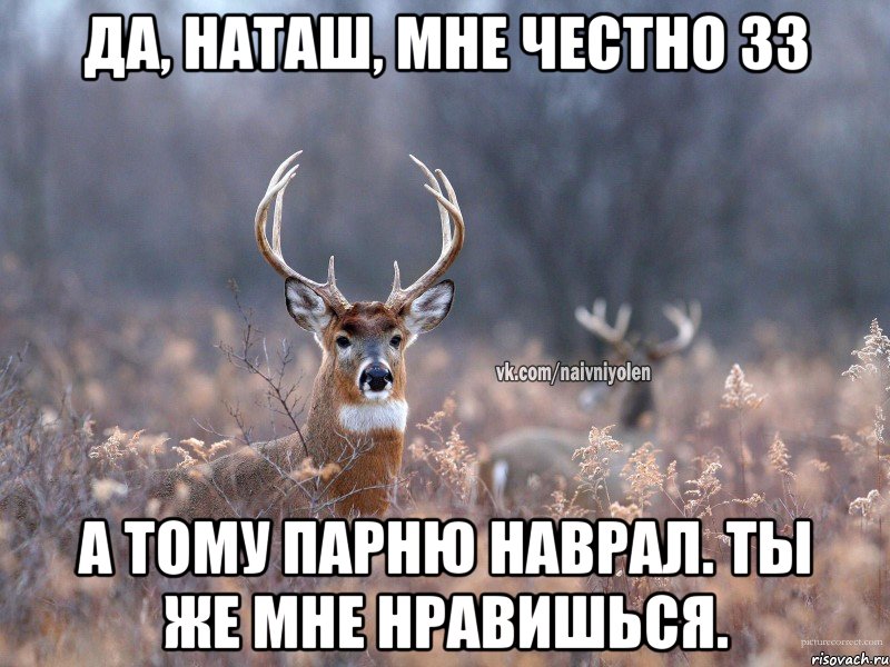 Да, Наташ, мне честно 33 а тому парню наврал. Ты же мне нравишься., Мем   Наивный олень