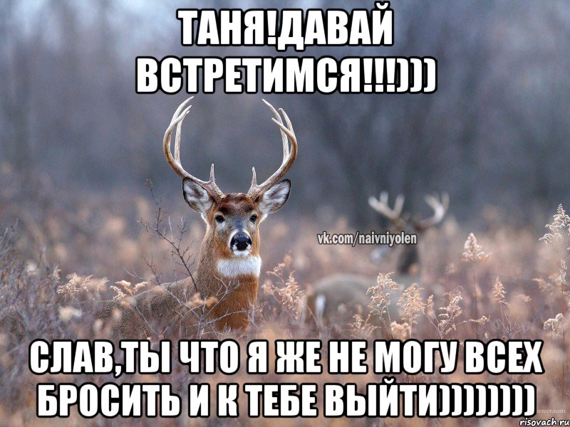 Таня!Давай встретимся!!!))) Слав,ты что я же не могу всех бросить и к тебе выйти))))))))