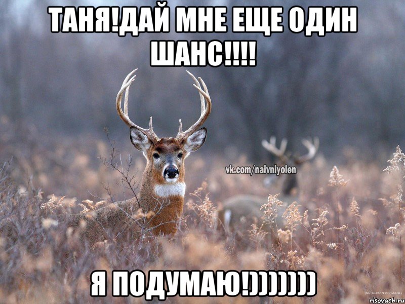 Таня!Дай мне еще один шанс!!!! я подумаю!)))))))