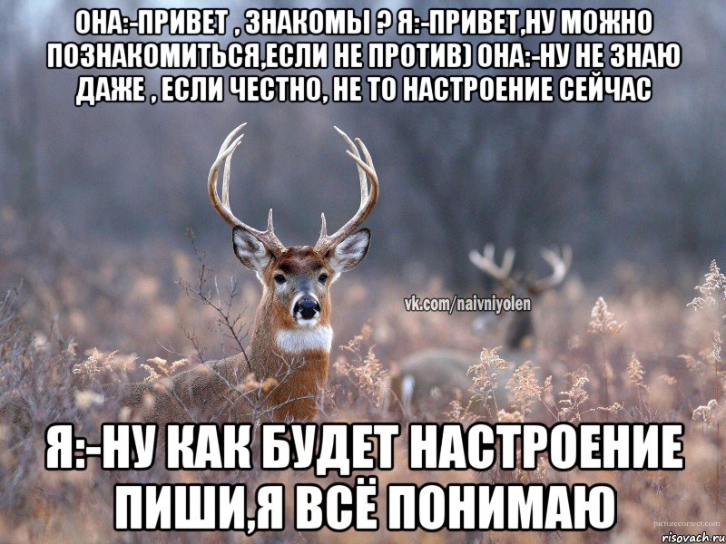 Она:-привет , знакомы ? Я:-Привет,ну можно познакомиться,если не против) Она:-Ну не знаю даже , если честно, не то настроение сейчас Я:-ну как будет настроение пиши,я всё понимаю