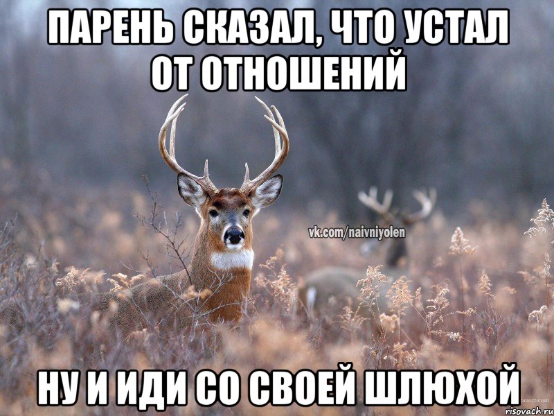 парень сказал, что устал от отношений ну и иди со своей шлюхой, Мем   Наивный олень