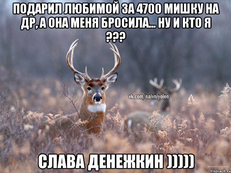 Подарил любимой за 4700 Мишку на ДР, а она меня бросила... Ну и Кто Я ??? Слава Денежкин )))))