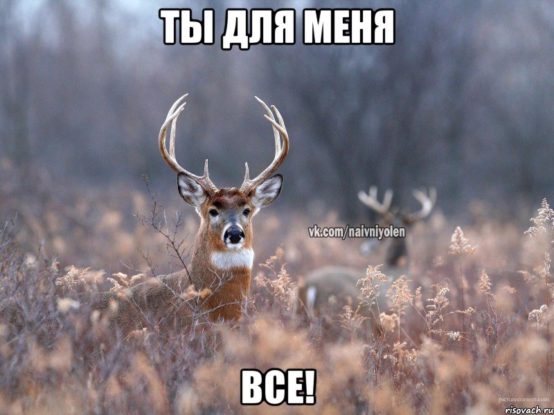 ты для меня все!