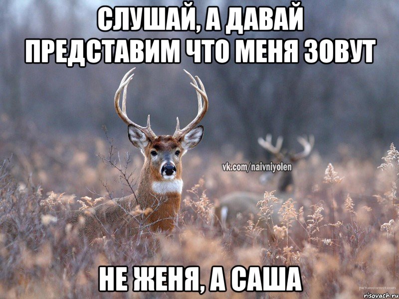 Слушай, а давай представим что меня зовут не Женя, а Саша