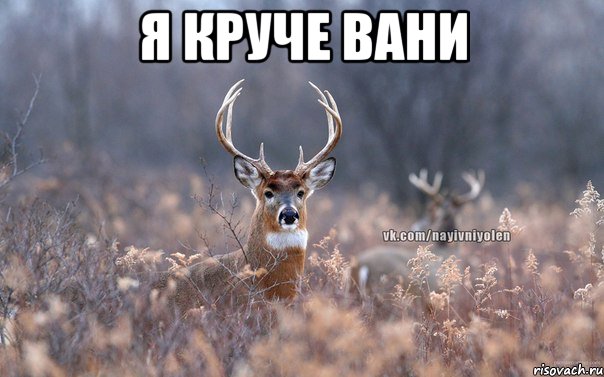 я круче Вани 