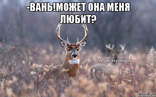 -Вань!Может она меня любит? 