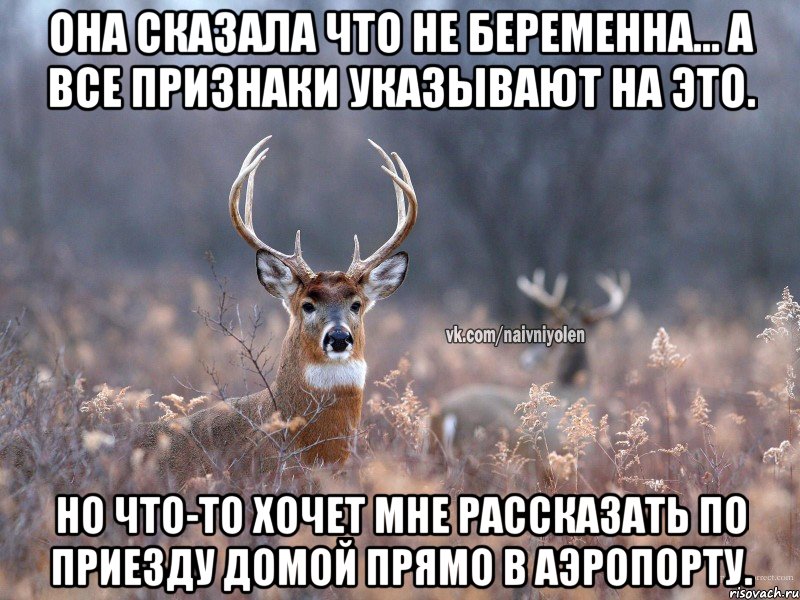 Она сказала что не беременна... А все признаки указывают на это. Но что-то хочет мне рассказать по приезду домой прямо в аэропорту.