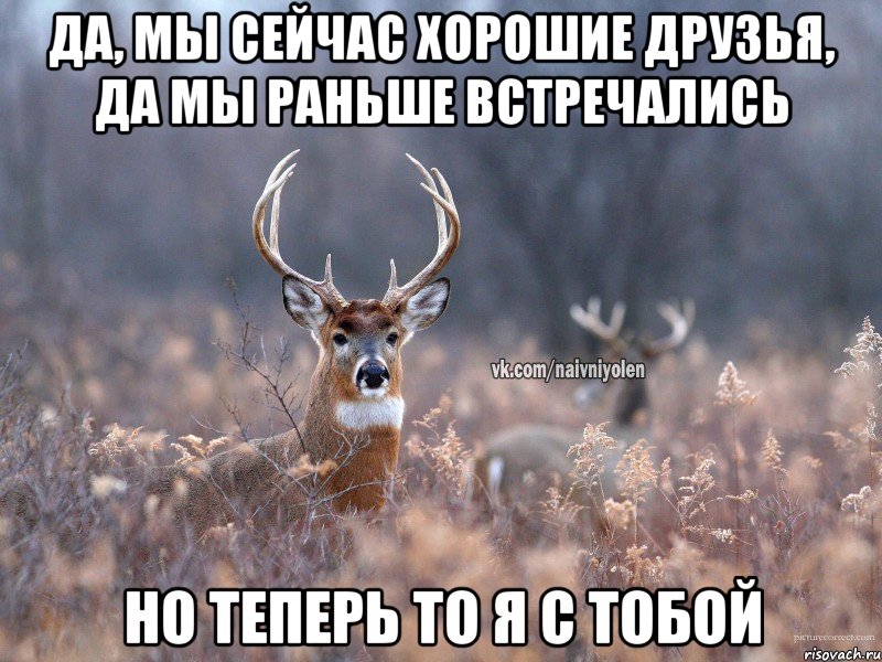 да, мы сейчас хорошие друзья, да мы раньше встречались но теперь то я с тобой