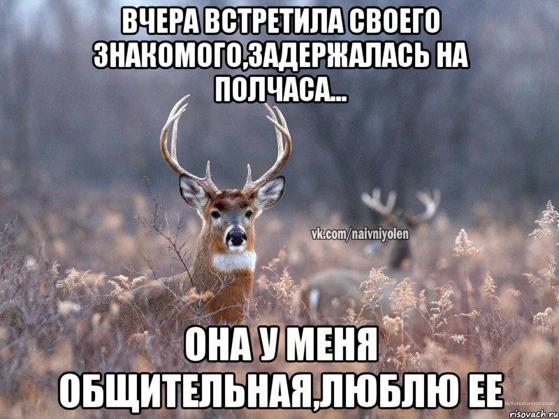 ВЧЕРА ВСТРЕТИЛА СВОЕГО ЗНАКОМОГО,ЗАДЕРЖАЛАСЬ НА ПОЛЧАСА... ОНА У МЕНЯ ОБЩИТЕЛЬНАЯ,ЛЮБЛЮ ЕЕ, Мем   Наивный олень