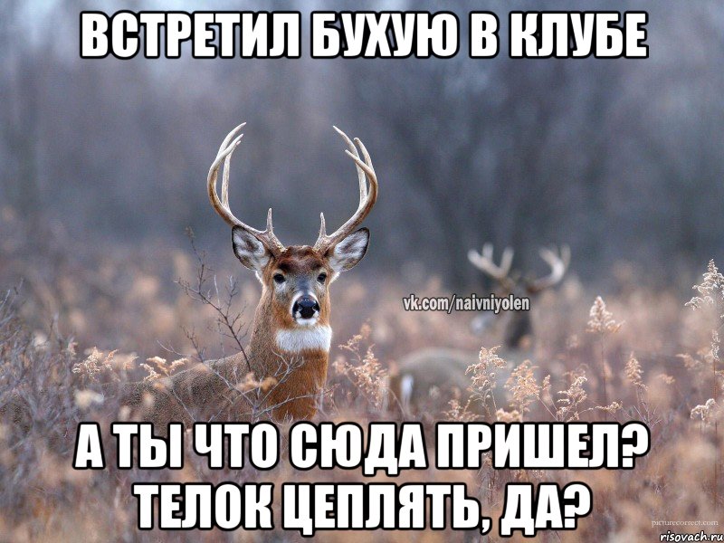 Встретил бухую в клубе А ты что сюда пришел? Телок цеплять, да?