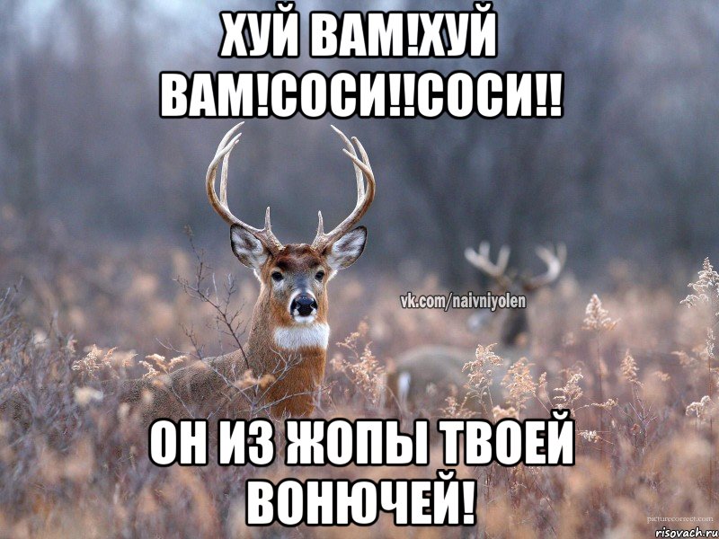 Хуй вам!Хуй вам!соси!!соси!! он из жопы твоей вонючей!