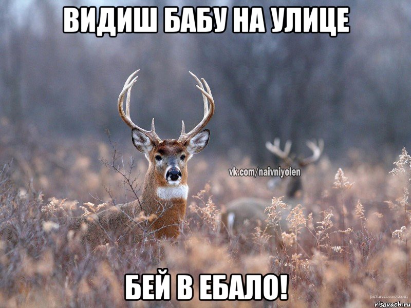 видиш бабу на улице бей в ебало!