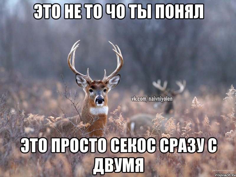 это не то чо ты понял это просто секос сразу с двумя