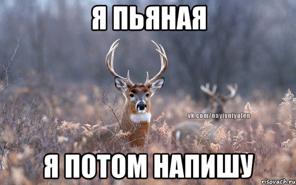 я пьяная я потом напишу