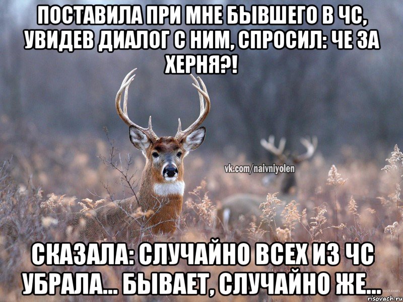 Поставила при мне бывшего в чс, увидев диалог с ним, спросил: че за херня?! Сказала: Случайно всех из чс убрала... Бывает, случайно же...