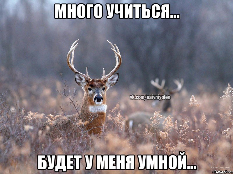 Много учиться... Будет у меня умной...