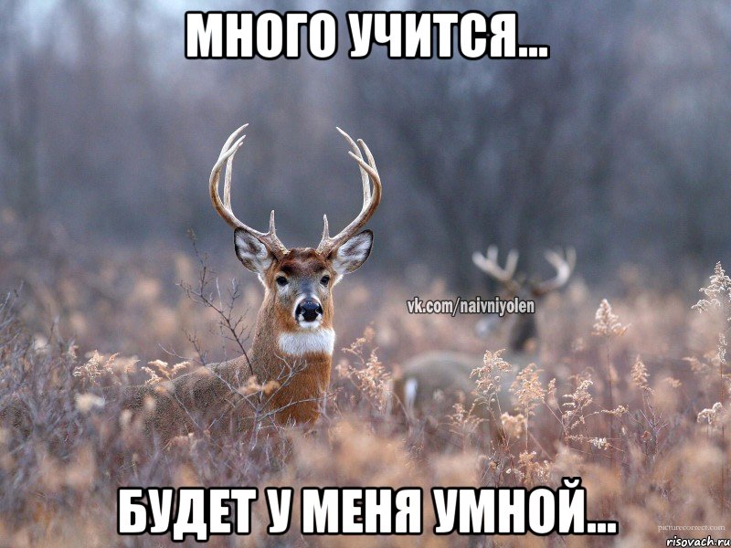 Много учится... Будет у меня умной...