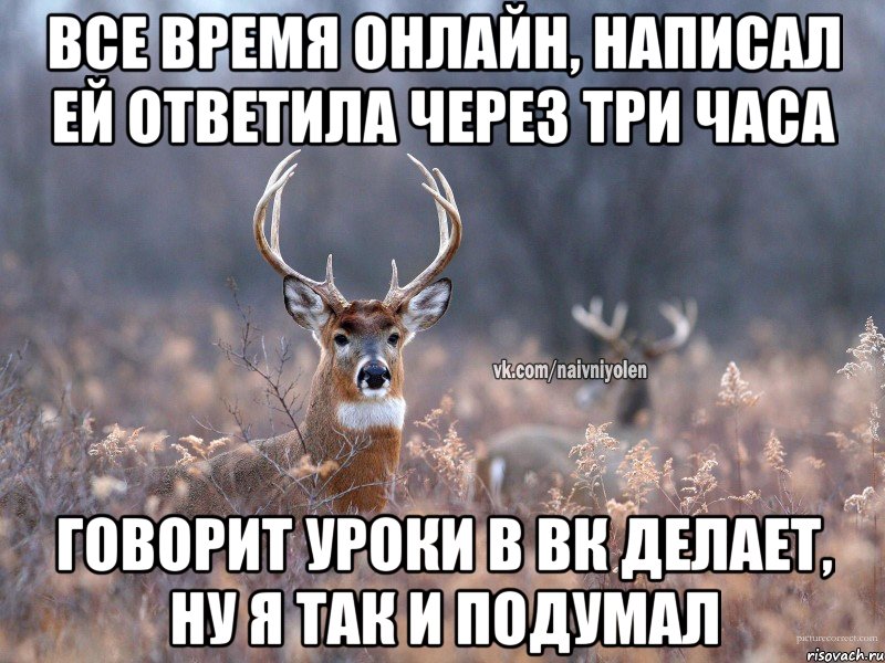 Все время онлайн, написал ей ответила через три часа Говорит уроки в вк делает, ну я так и подумал