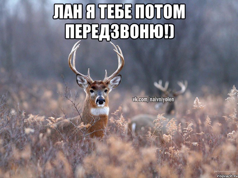 Лан я тебе потом передзвоню!) 