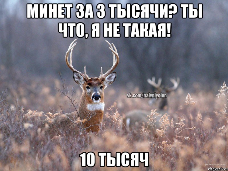 Минет за 3 тысячи? Ты что, я не такая! 10 тысяч