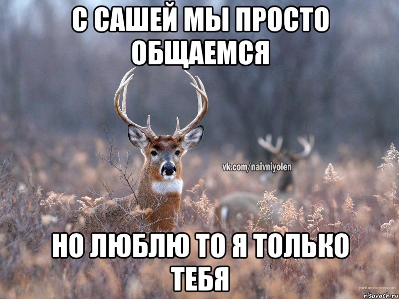 С Сашей мы просто общаемся Но люблю то я только тебя