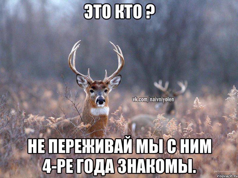 это кто ? не переживай мы с ним 4-ре года знакомы.