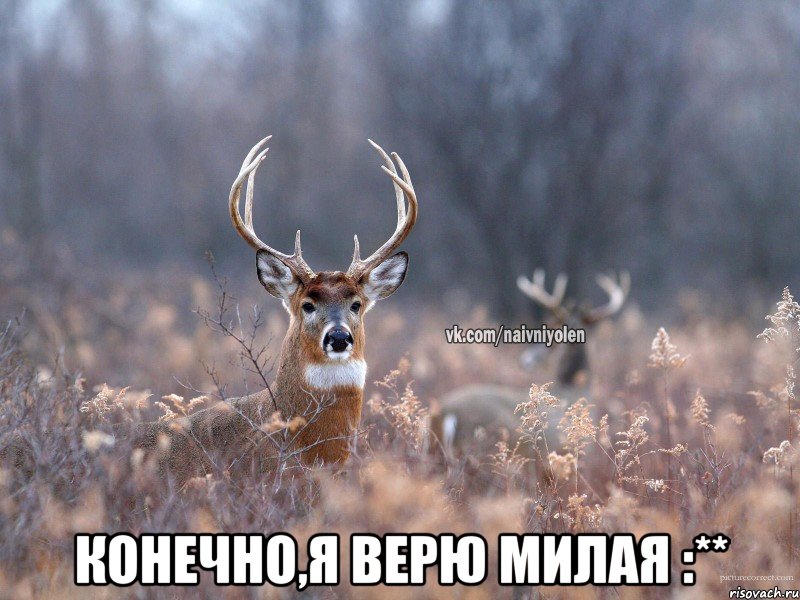  Конечно,я верю милая :**