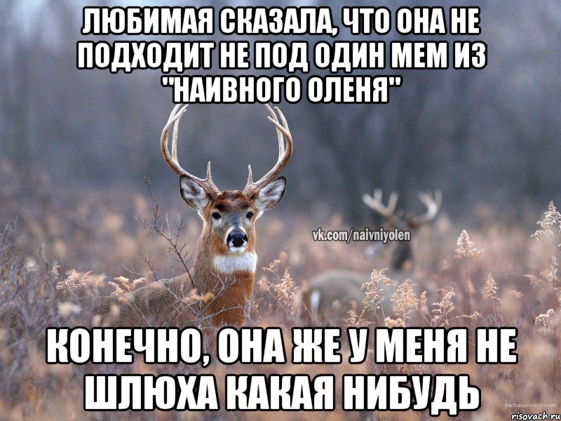 Любимая сказала, что она не подходит не под один мем из "наивного оленя" Конечно, она же у меня не шлюха какая нибудь