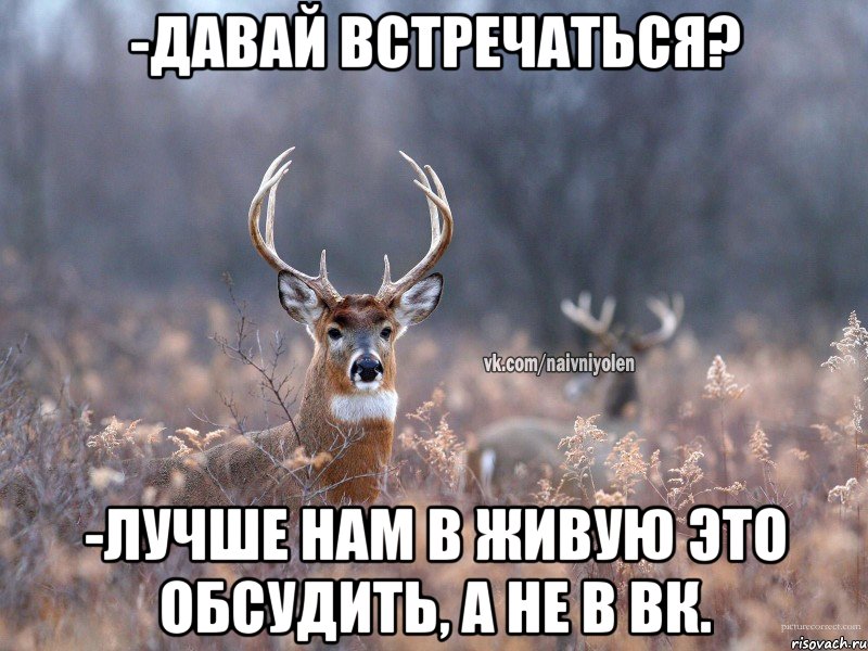 -давай встречаться? -Лучше нам в живую это обсудить, а не в ВК.