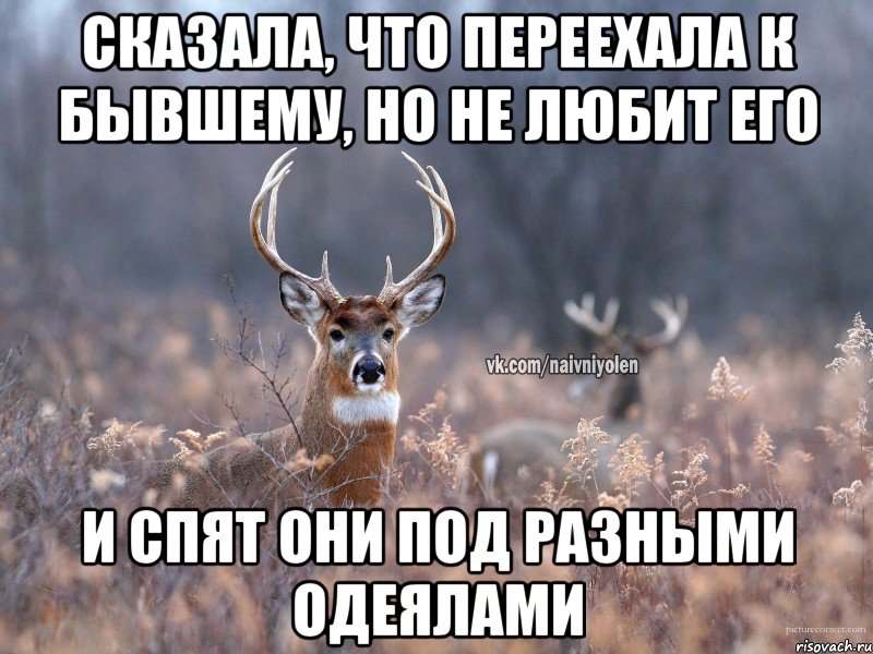 Сказала, что переехала к бывшему, но не любит его и спят они под разными одеялами