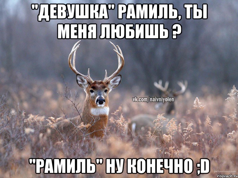 "Девушка" Рамиль, ты меня любишь ? "Рамиль" ну конечно ;D