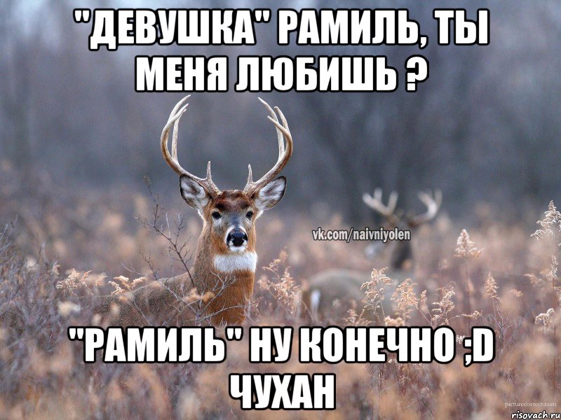 "Девушка" Рамиль, ты меня любишь ? "Рамиль" ну конечно ;D чухан