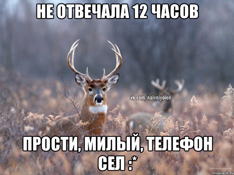 Не отвечала 12 часов Прости, милый, телефон сел :*