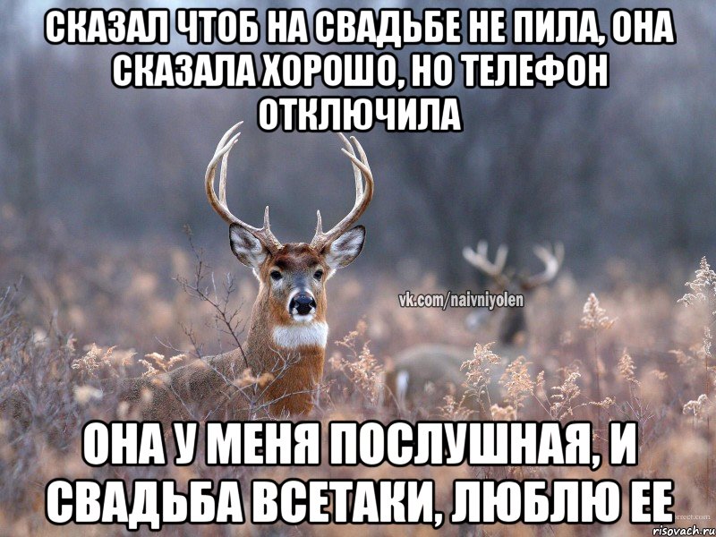 Сказал чтоб на свадьбе не пила, она сказала хорошо, но телефон отключила она у меня послушная, и свадьба всетаки, люблю ее