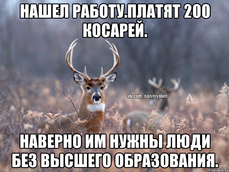 Нашел работу.Платят 200 косарей. Наверно им нужны люди без высшего образования.