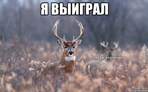 Я выиграл 