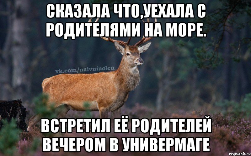 сказала что,уехала с родителями на море. встретил её родителей вечером в универмаге