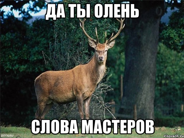 да ты олень слова мастеров, Мем  олень