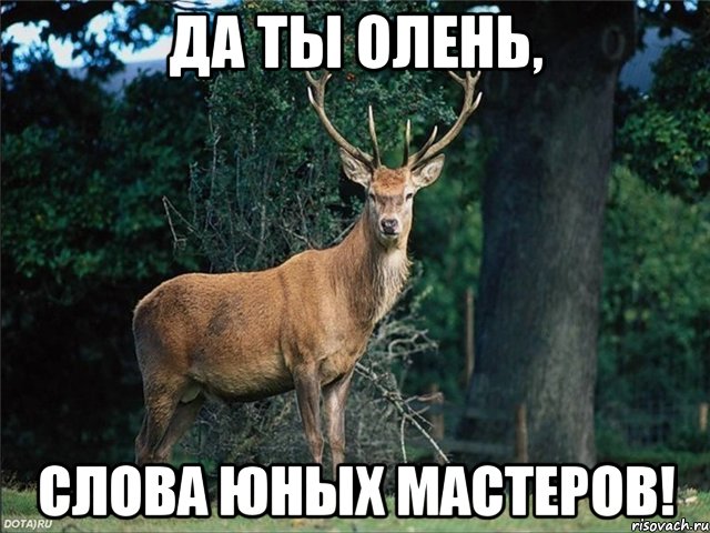 да ты олень, слова юных мастеров!