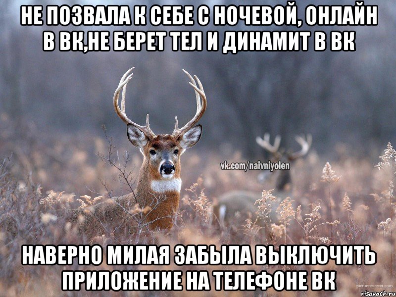 не позвала к себе с ночевой, онлайн в вк,не берет тел и динамит в вк наверно милая забыла выключить приложение на телефоне вк, Мем   Наивный олень