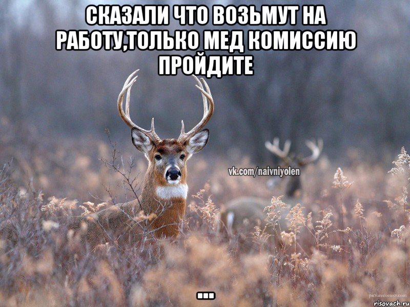 сказали что возьмут на работу,только мед комиссию пройдите ..., Мем   Наивный олень