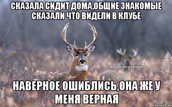 сказала сидит дома,общие знакомые сказали что видели в клубе наверное ошиблись,она же у меня верная, Мем   Наивный олень